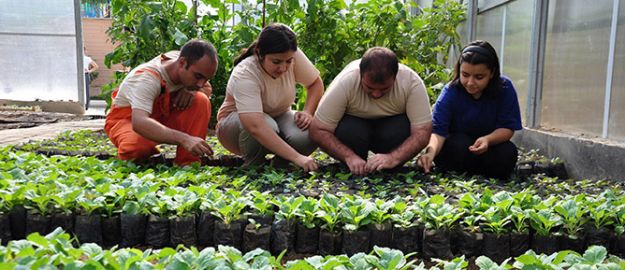 55 bin çiftçi organik tarıma geçti