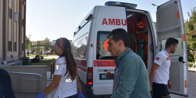 Kahta’da 1 kişiyi yılan soktu