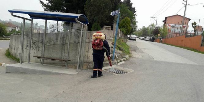 Akçakoca ilaçlanıyor