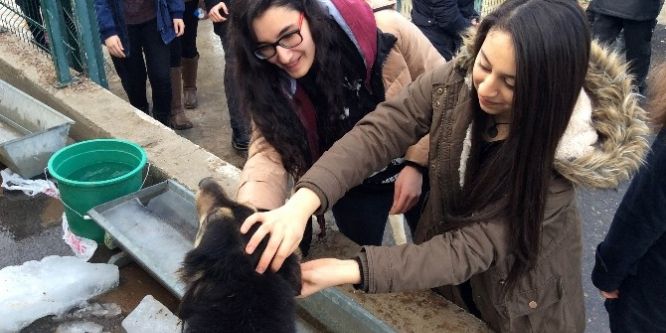 Liseli öğrencilerden örnek hareket
