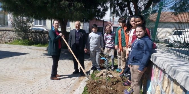 Okullarını yeşillendirdiler