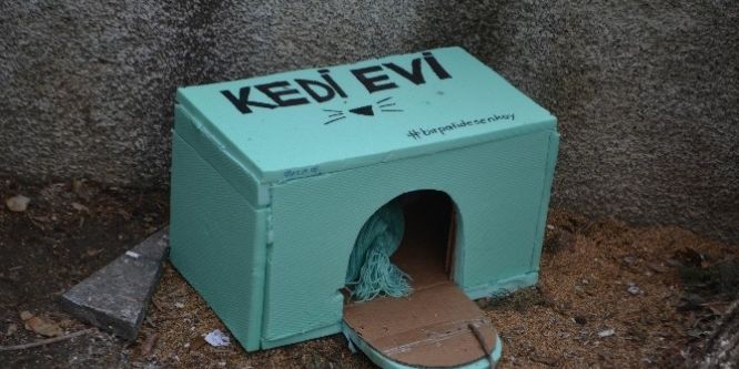 Hayvan severlerden örnek hareket