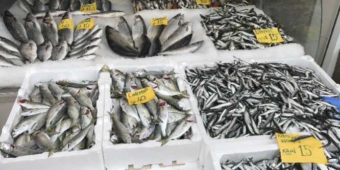 Zam şampiyonu çinekop oldu