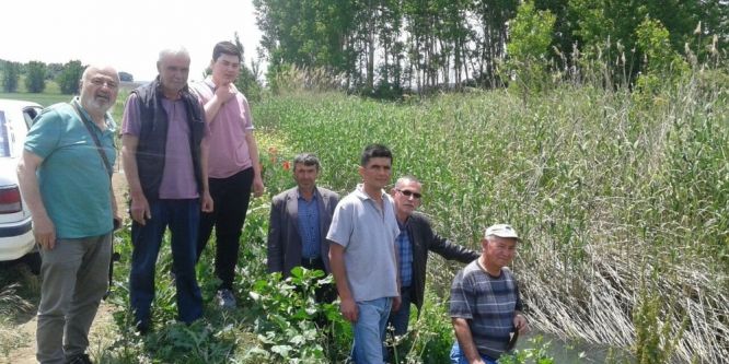 Çiftçi dere kirliliği sebebiyle sulama yapamıyor