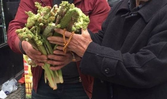 Uçkun tezgahlarda yerini almaya başladı