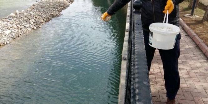 Larvalarla mücadele başladı