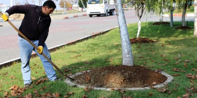 Marmaraereğlisi’nde çiçek ve lale soğanı ekimi