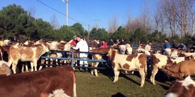 Gıda, tarım ve hayvancılık için 8 milyonluk proje