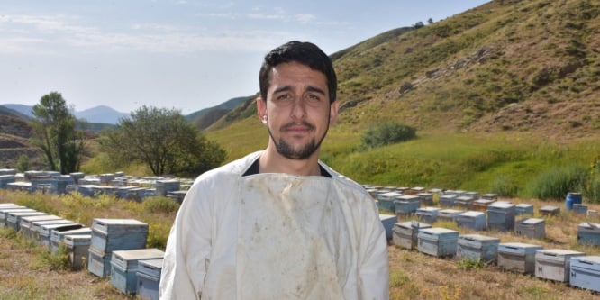 Aç kalan ayı, kovanlara zarar verdi