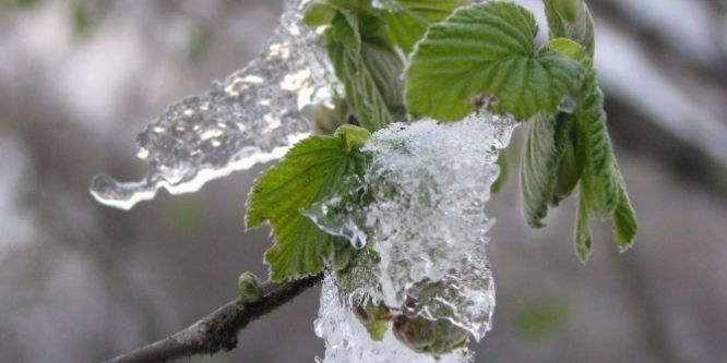 “Tarım sigortanızı yaptırın” uyarısı yapıldı