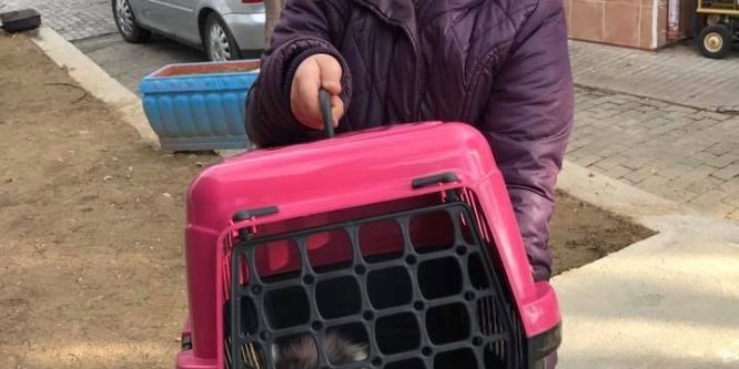 Bin 257 can yuvaya kavuştu