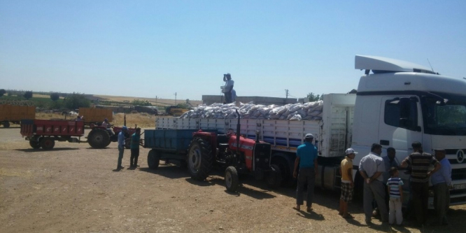 Köylerde kömür dağıtımı tamamlandı