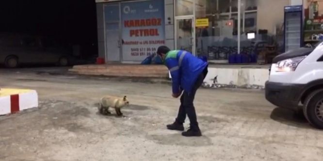 Aç kalınca benzin istasyonuna sığındı, karnını doyurdu