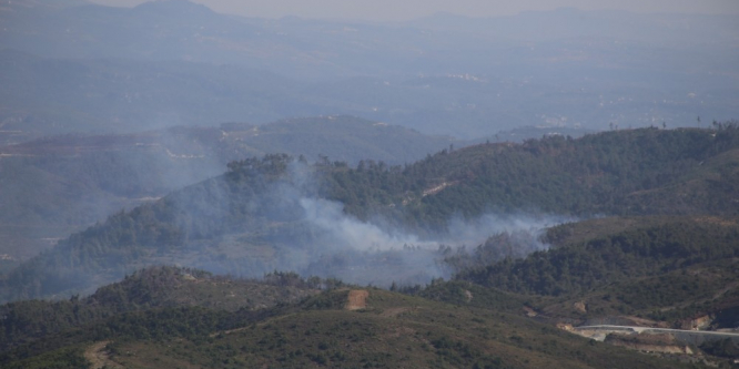 Hatay sınırında orman yangını