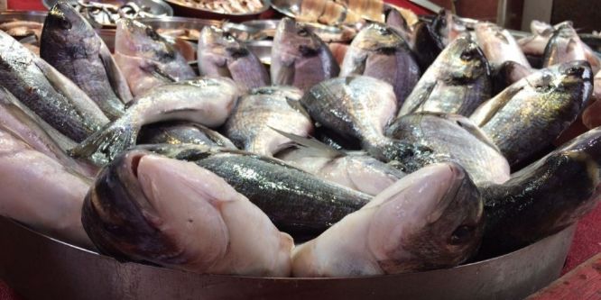 Deniz balıklarındaki yüksek fiyatlar kültür balıklarını da etkiledi