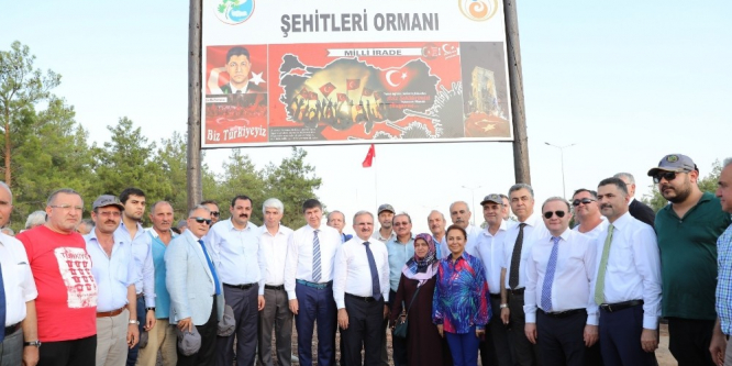 15 Temmuz şehitlerinin ismi hatıra ormanıyla yaşatılıyor