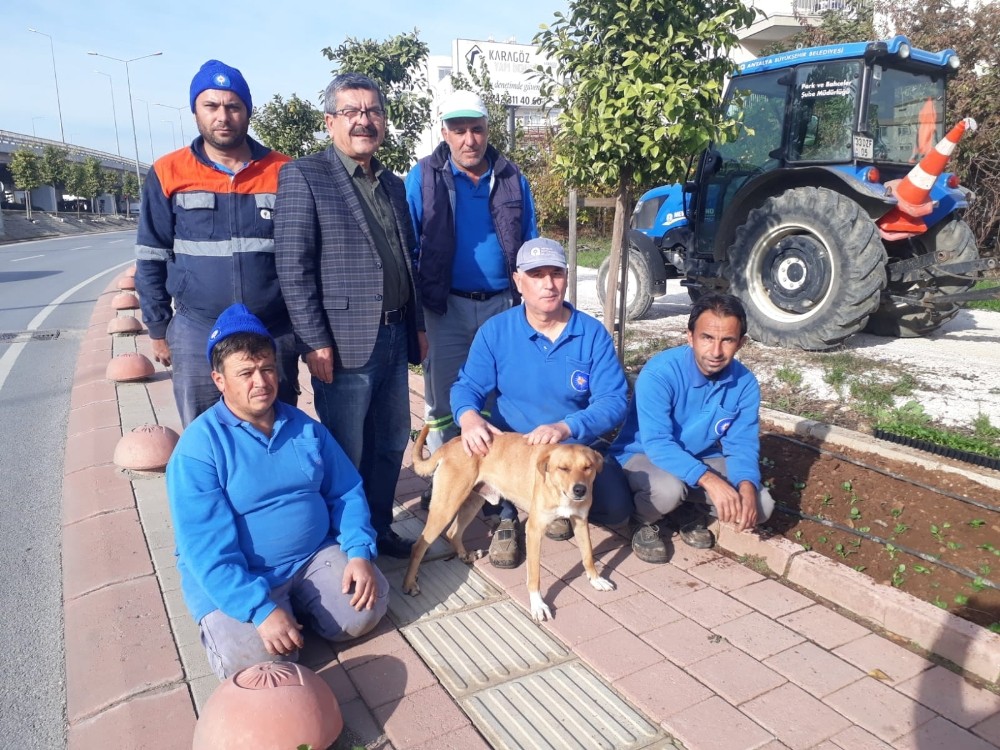6 aydır ’Gel Oğlum’ ile mesai yapıyor, onsuz adım atamıyorlar 