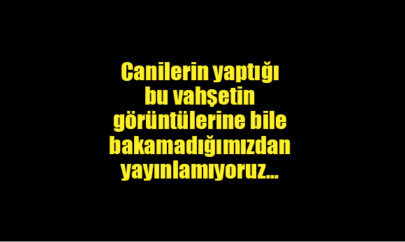 6 yavru kedi başları kesik halde bulundu: Bulun bu canileri
