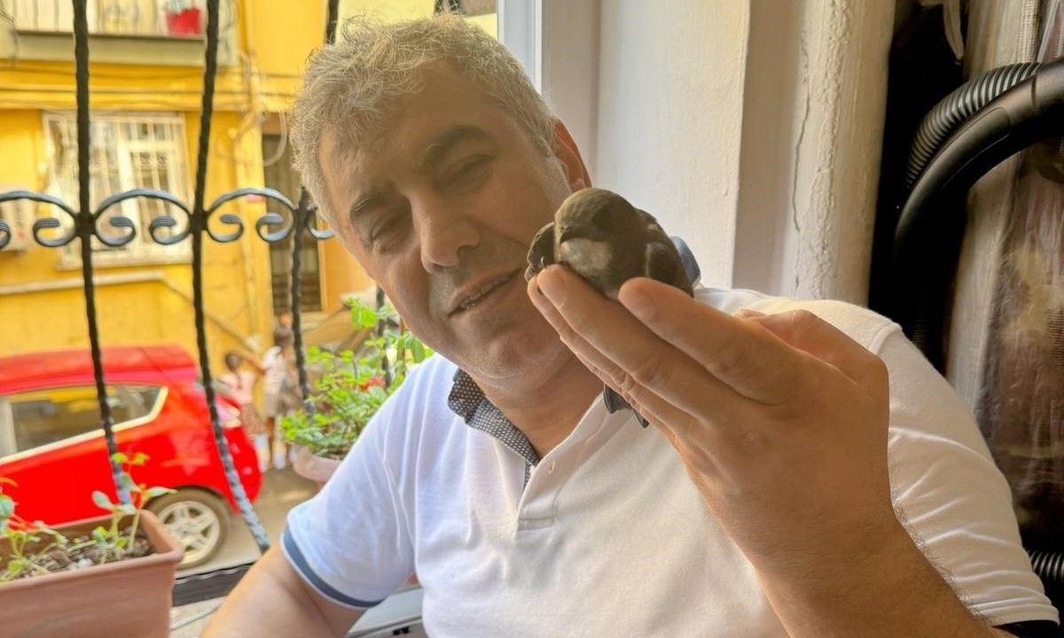 6 Yıl Önce Tedavi Ettiği Ebabil Kuşu, Beyoğlu’nda Sahibinin Penceresine Döndü