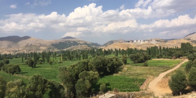 Belediye Başkanı Kutlu su sorununa çare arıyor