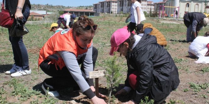 Öğrenciler 200 fidanı toprakla buluşturdu