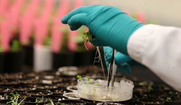 62.5 milyar dolarlık satın alma bitiyor!