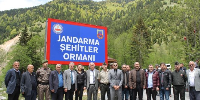 Rize’de jandarmadan şehitler ormanı