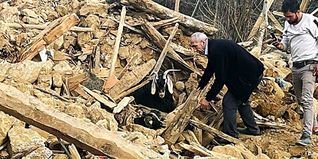637 saat sonra enkazdan 2 keçi canlı çıkarıldı