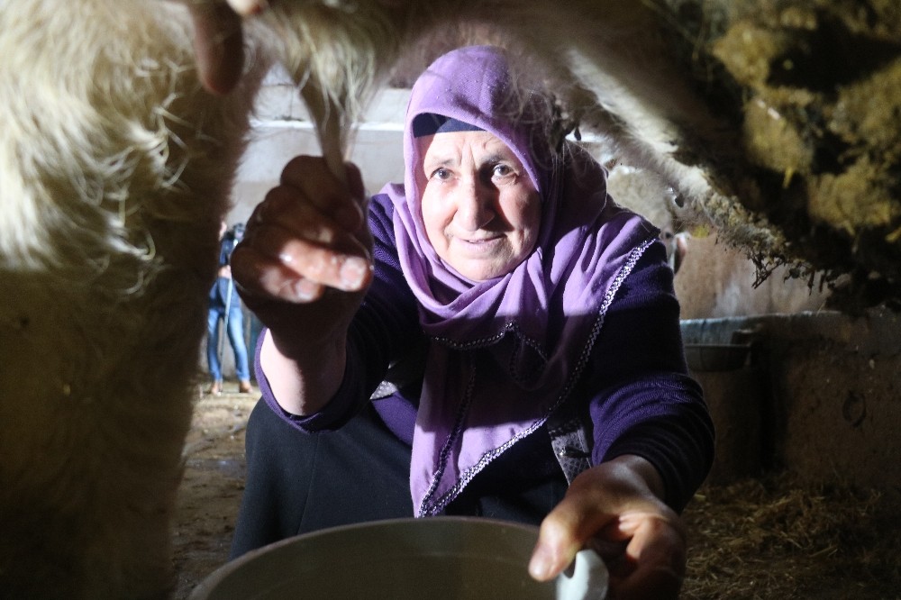 64 yaşındaki şair Latife teyze 25 kişiye rakip oldu 
