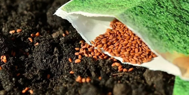 64 yerli tohum tarıma kazandırıldı