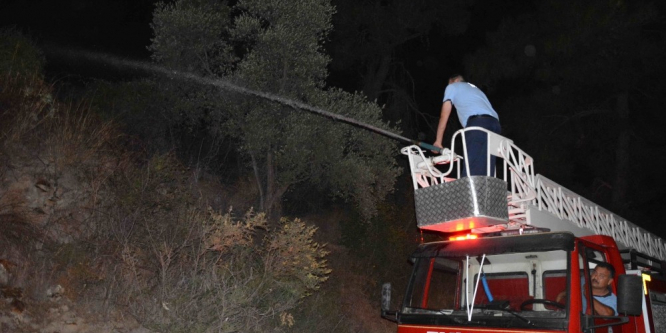 Ortaca’da orman yangını