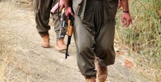2 PKK’lı terörist öldürüldü