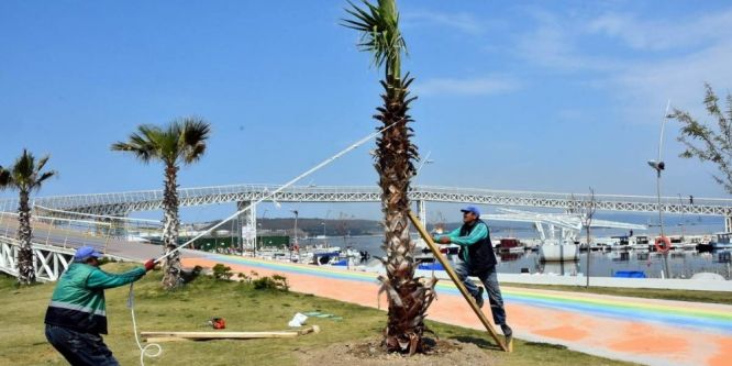 Aliağa Belediyesinden yeşil takviyesi