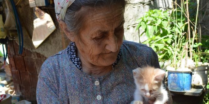 İzmir’deki vahşet hayvanseverleri ayaklandırdı