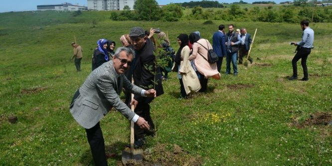 249 şehidin anısına 249 fidan dikildi