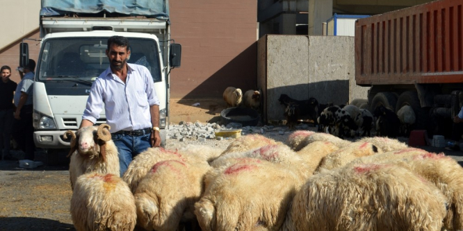 Mardin’de kurban satıcıları umduğunu bulmadı
