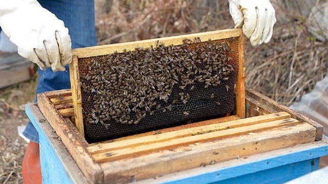 67 milyon liralık destek geliyor