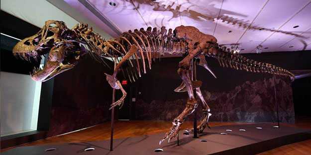 67 milyon yıllık dinozor iskeletine dudak uçuklatan para