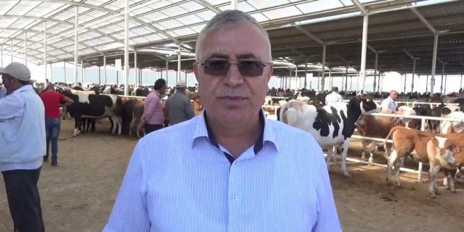 Başkan Özkök: Bu yıl kurbanlıkta sıkıntı yok