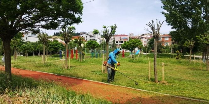 İzmit’te mahalleler tırpandan geçiriliyor