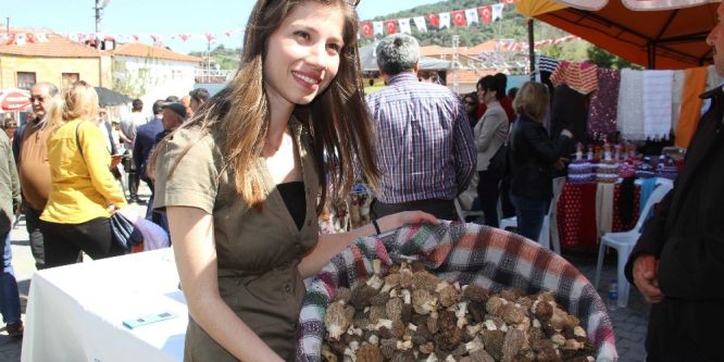 Fethiye’de Kuzugöbeği Mantarı Festivali başladı