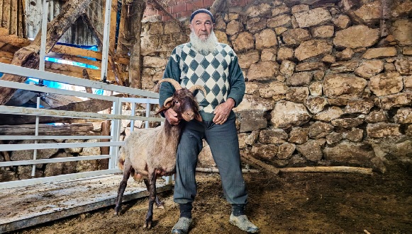 68 yıldır bu işi yapıyor daha önce görmedi! Sevimli koçu görenler şaşkına dönüyor