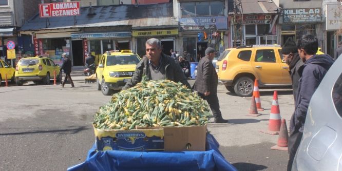 Ağrı’da Çiriş tezgahlardaki yerini aldı
