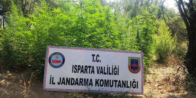 Isparta’da uyuşturucu operasyonu