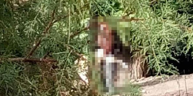 69 yaşındaki kadına sokakta tecavüze kalkıştı!