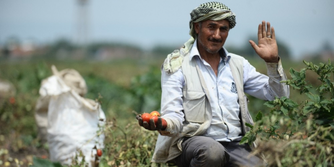 Dolu mevsimlik işçilerini vurdu