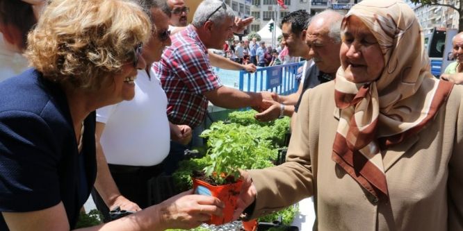 Manisa’da annelere 5 bin adet fesleğen dağıtıldı