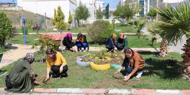 Yurt bahçelerine gül fidanları dikildi