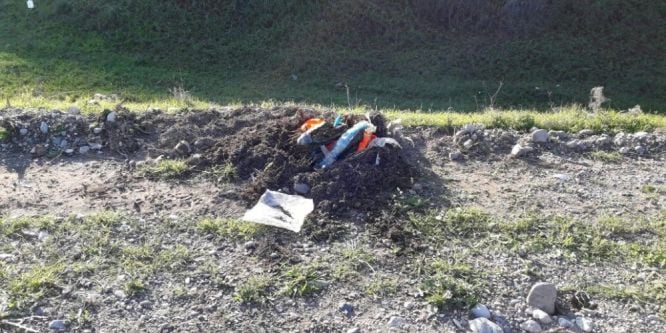 150 kök kenevir ele geçirildi