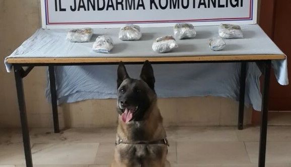 Narkotik köpeği trendeki esrarı buldu
